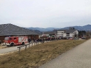 Faschingsumzug_26_02_3